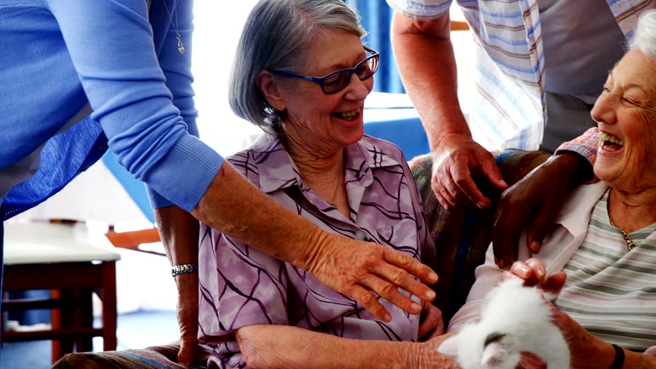 Amigos idosos e médica acariciando gatinho em lar de idosos 4k