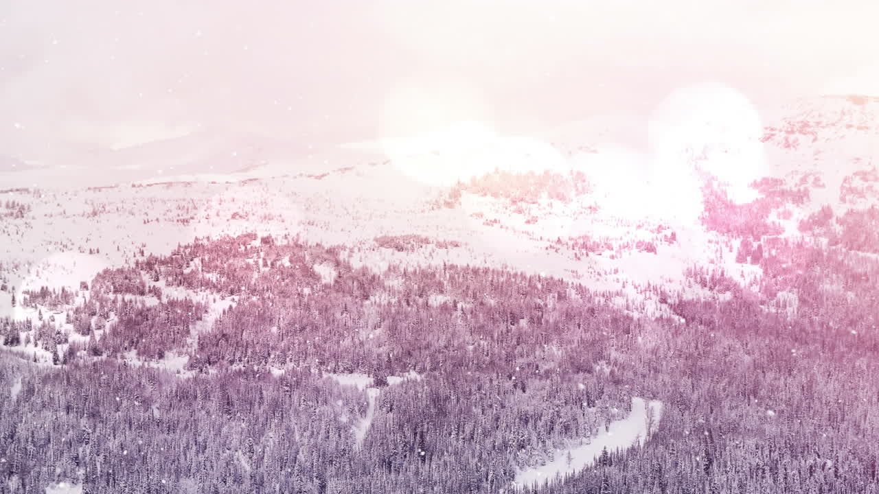 겨울 풍경에 여러 나무 위에 떨어지는 눈에 대한 빛의 반점