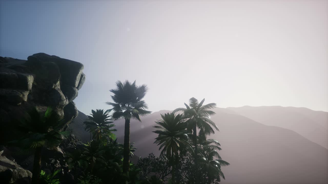 Sunset Beams through Palm Trees