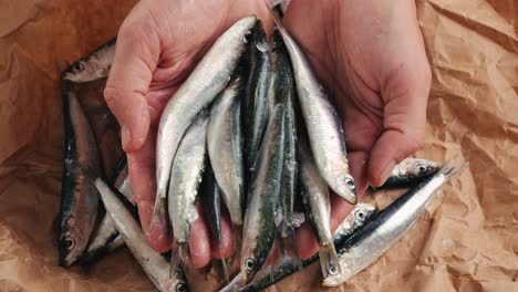 hands holding sardines