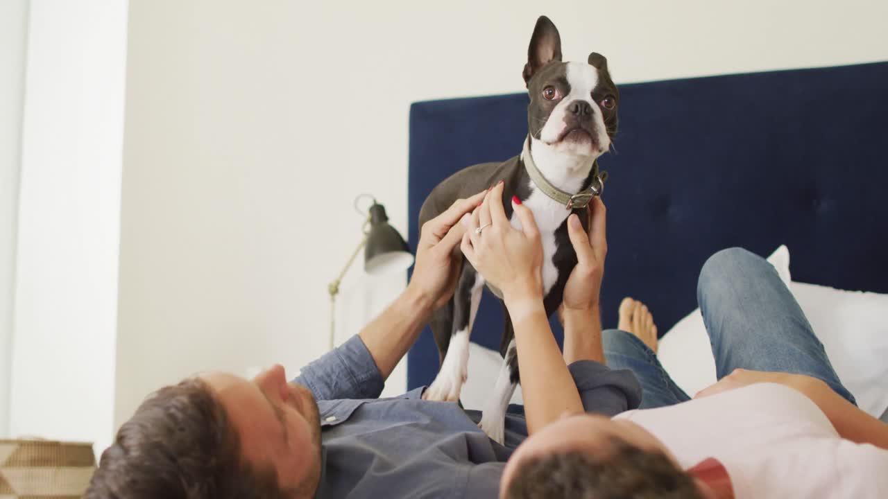 pareja caucásica jugando con el perro en casa