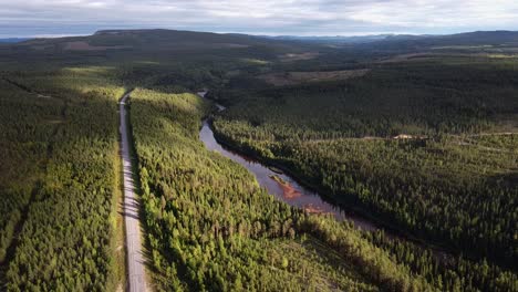 Beautiful-aerial-green-forest-woods-during-evening-sunny-golden-hour-in-Sweden