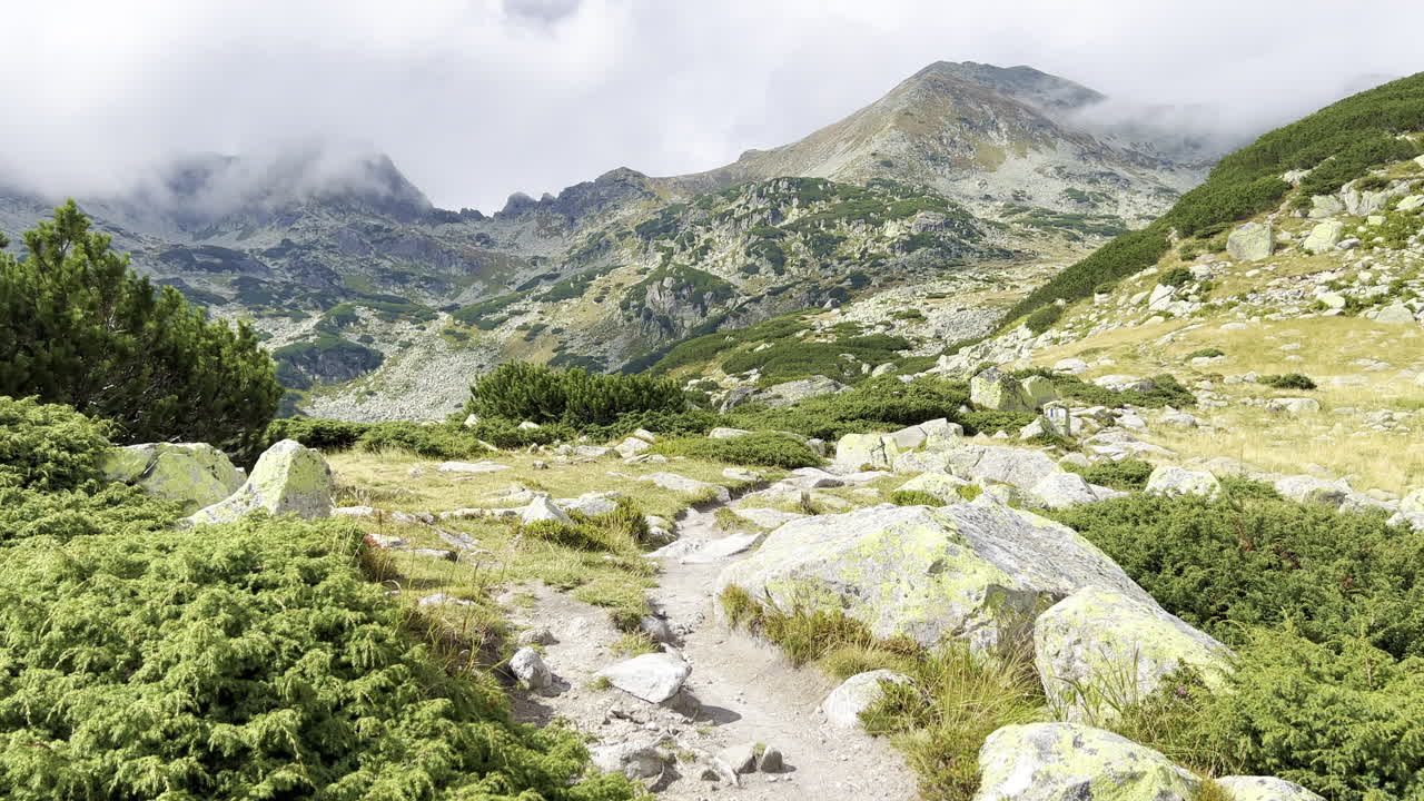 A pathway with junipers from the Retezat Mountains Romania, shrouded in clouds