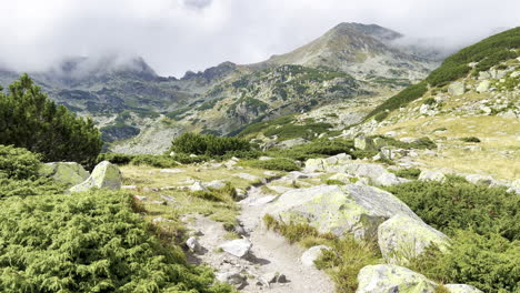 Un-Camino-Con-Enebros-De-Las-Montañas-Retezat-Rumania,-Envuelto-En-Nubes.