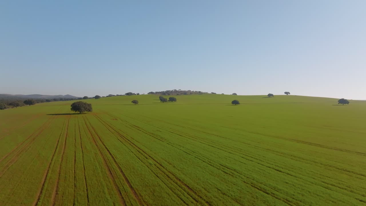 Expansive Open Grass Fields in Spanish Farmland