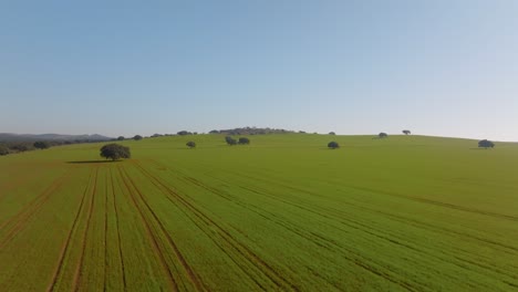 expansive open grass fields in spanish farmland