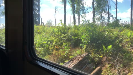 looking through the windows of an old orange train - railcar that are moving, outside the trees passing by