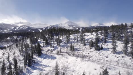 Aerial-Footage-of-Forest-in-Silverthorne,-Colorado