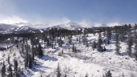 aerial footage of forest in silverthorne, colorado