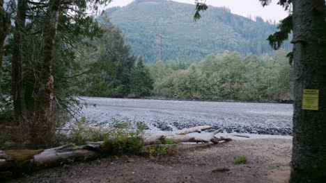 Aerial-footage-slowly-flying-through-trees-over-a-bank-into-a-river-full-of-water-and-rocks