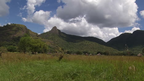 grassland with view of green tree hills in the background. locked off