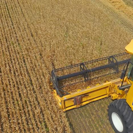 combine harvester in action on the field. combine harvester. harvesting machine for harvesting a wheat field