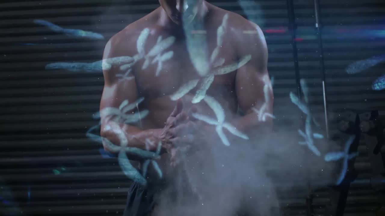 백인 남성 운동선수에 대한 dna와 염색체의 애니메이션