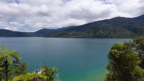 una toma panorámica siguiendo a un bote mientras navega a lo largo de la entrada de esfuerzo en la isla sur de nueva zelanda