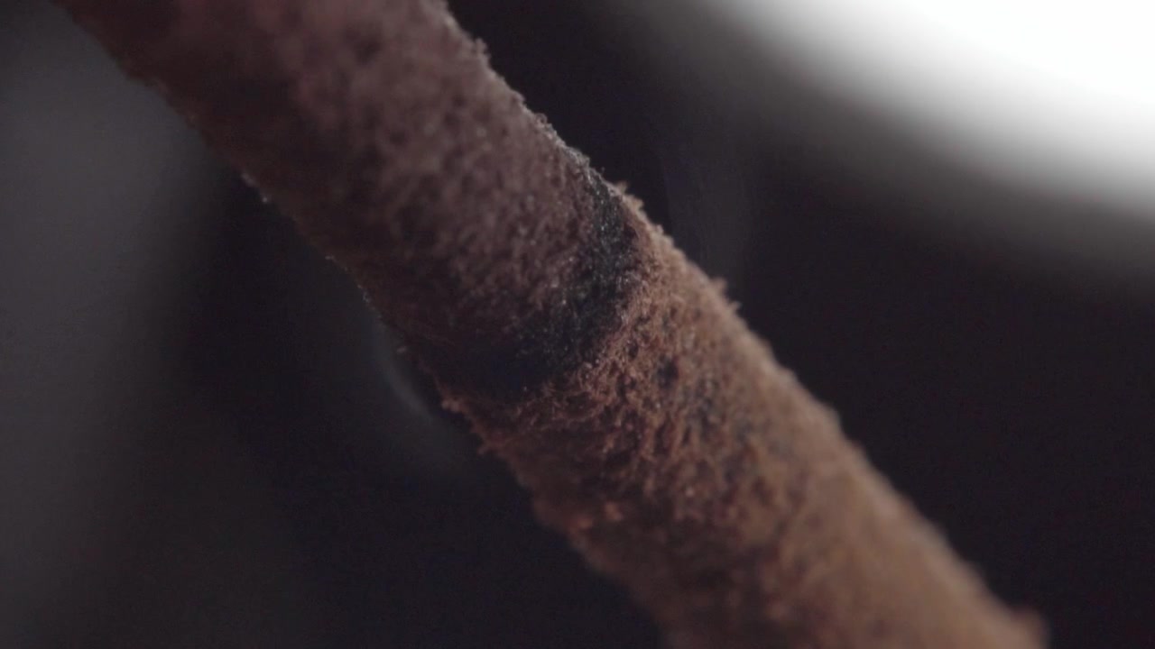 Vue macro d'un bâton d'encens incandescent, révélant la texture des cendres brûlées et la fumée montante, soulignant l'objet rituel aromatique, le processus de combustion et le détail atmosphérique.