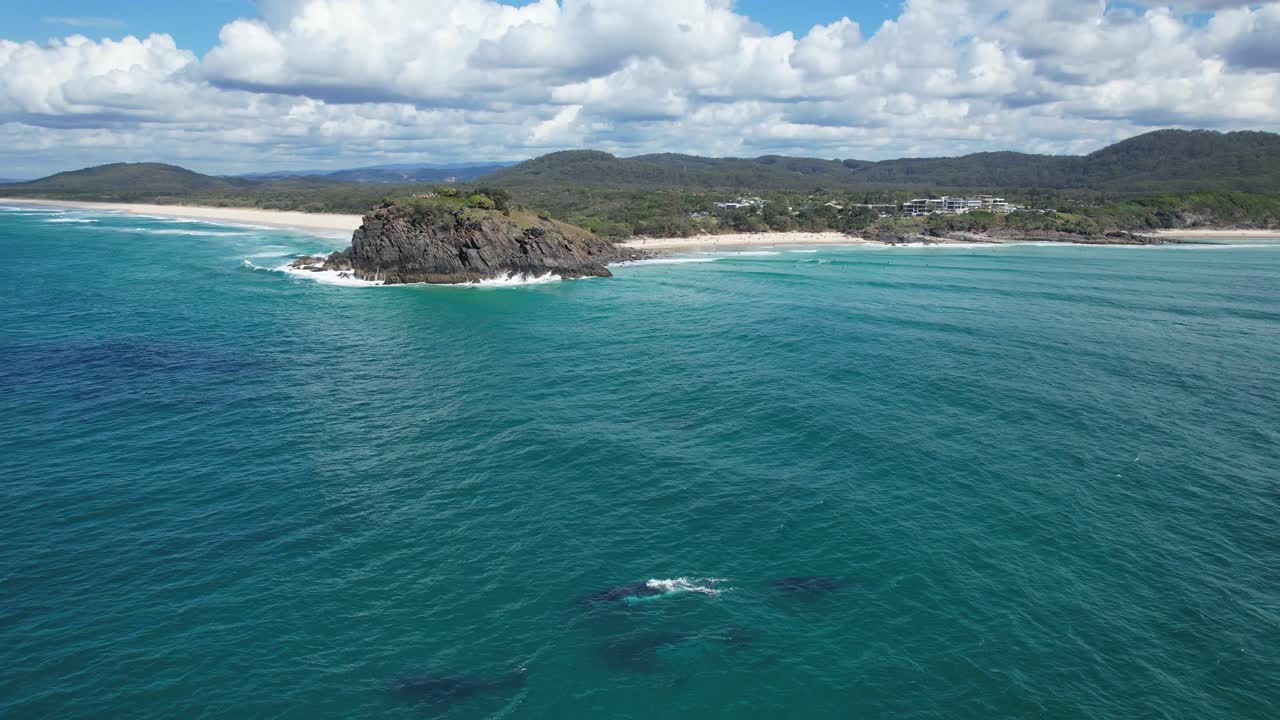 Humpback Whales Pod In The Scenic Ocean In New South Wales, Australia - aerial drone shot