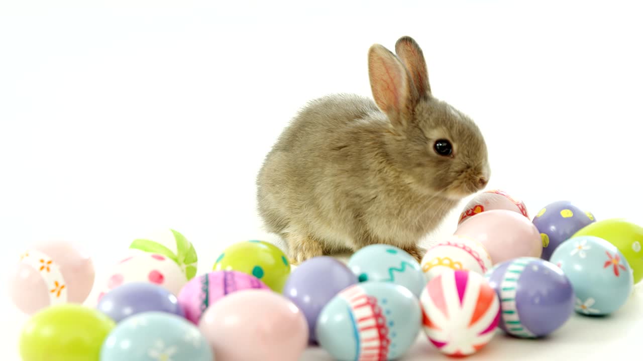 Ovos de Páscoa e coelhinho da Páscoa