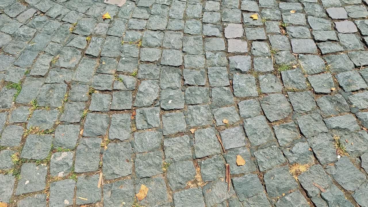 그림자 와 쓰러진 잎 이 있는 자갈 길