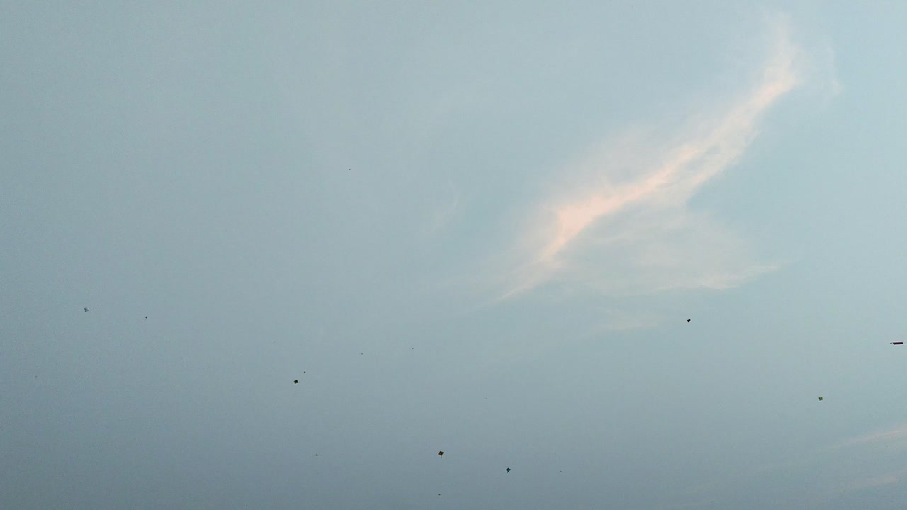 Multiple kites soaring in sky during Makar Sankranti. vibrant and energetic festival moment of kite flying.