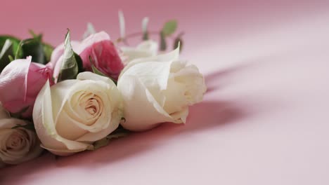 Video-of-bunch-of-white-and-pink-roses-and-copy-space-on-pink-background