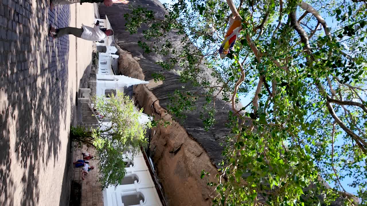 Visitors explore the historic Dambulla Cave Temple in Sri Lanka on a sunny day, surrounded by beautiful architecture and natural scenery. vertical video