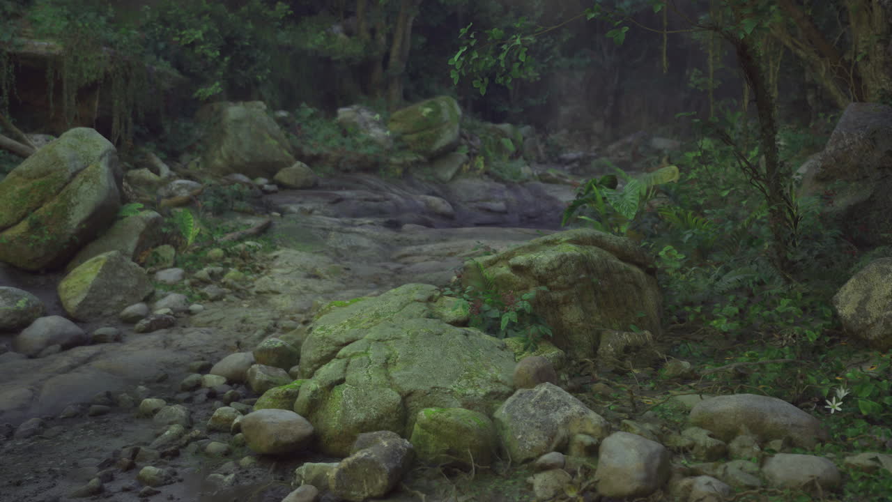 Mossy rocks in a serene riverbank surrounded by lush greenery at dawn