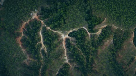 Rising-Over-Pai-Canyon