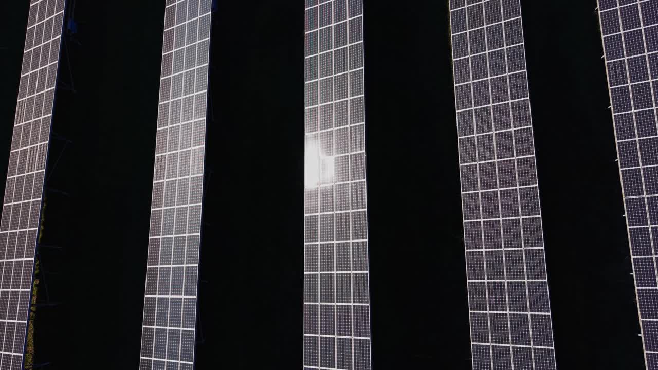 Pannelli solari disposti su un campo in pieno sole durante il giorno