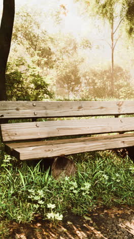 peaceful park bench in sunlight