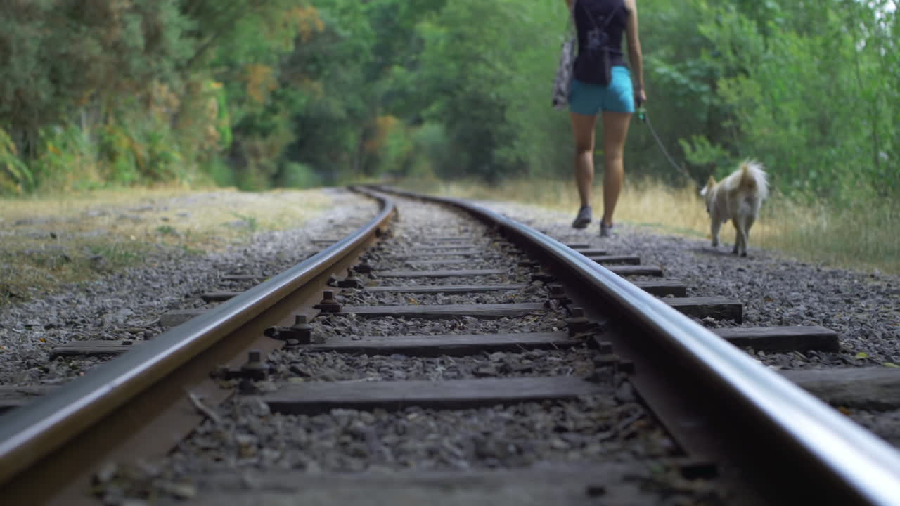 슬로우 모션으로 개를 산책하는 철도 숲 소녀