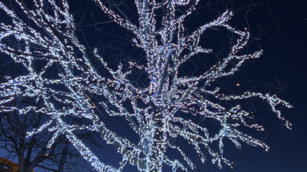 árbol iluminado con luz blanca con bombillas para la temporada de invierno de navidad en la noche