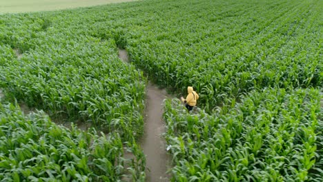 joven corriendo con una chaqueta amarilla en medio de un laberinto de maíz buscando la salida correcta para escapar de sí mismo