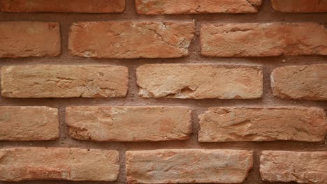 close up of a red brick wall