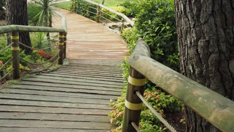 wooden bridge path through the forest