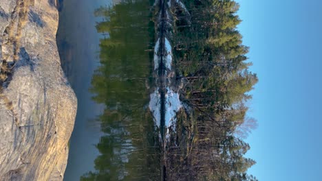 Calm-forest-reflection-on-water-in-Stockholm-archipelago,-clear-sky,-vertical-shot