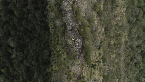 4K-drone-top-view-of-a-people-standing-on-a-vantage-point,-viewpoint,-overlook-on-a-mountain-at-Border-Ranges-National-Park,-New-South-Wales-Australia