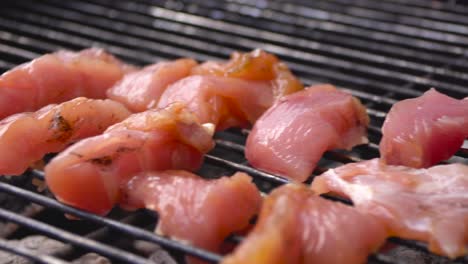 pecho de pollo a la parrilla