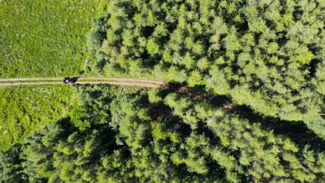 Quad-bikes-riding-into-forest-landscape-seen-from-above,-green-woodland