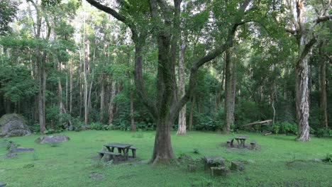 zona de senderismo, descanso y camping en un parque natural salvaje en hong kong