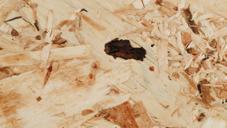 close-up of a plywood surface