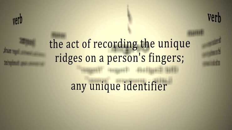 Definition: Fingerprint