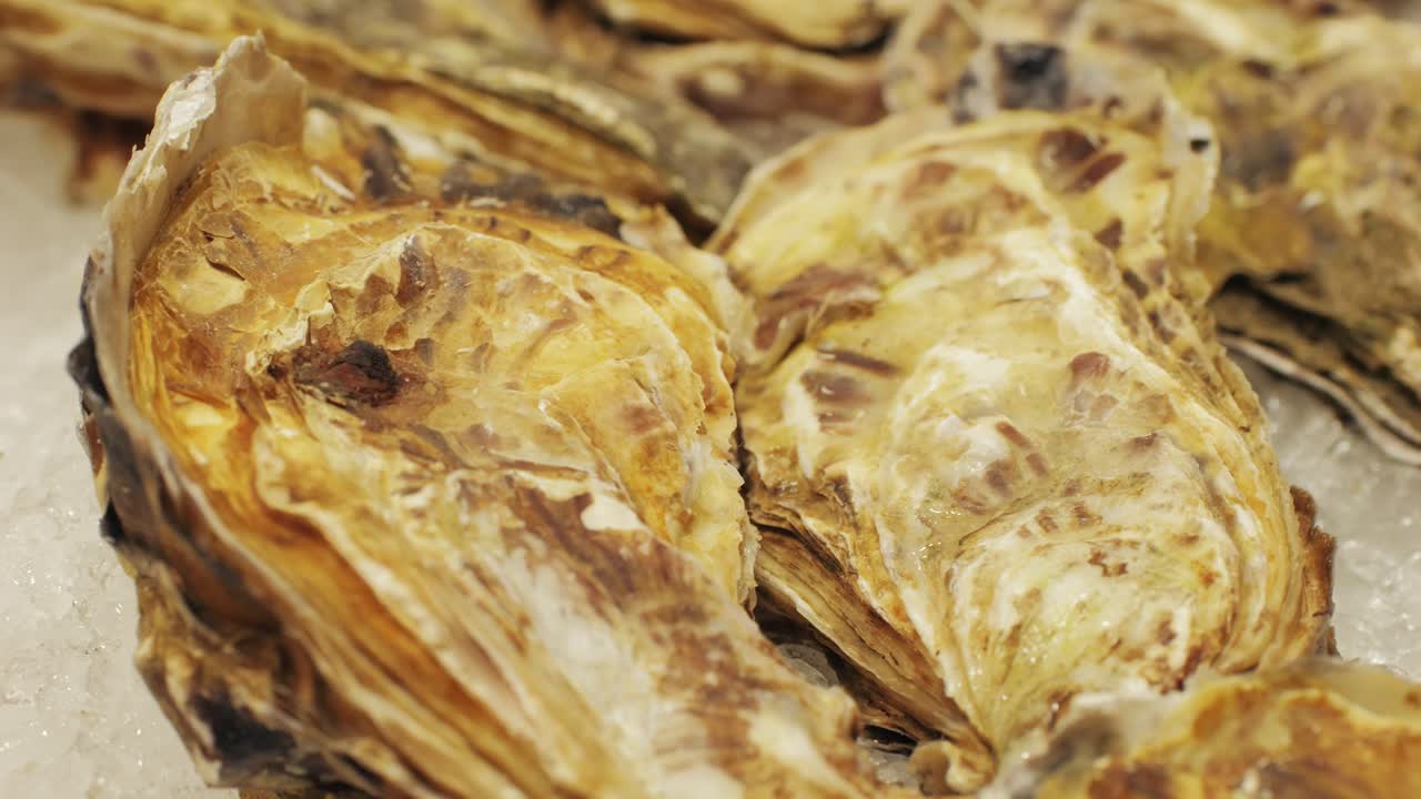 Fresh oysters in a seafood market, with textured shells, enticing customers with their appealing appearance