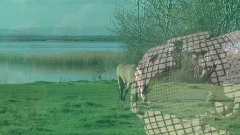 grid pattern animation over grazing horse near lake and trees