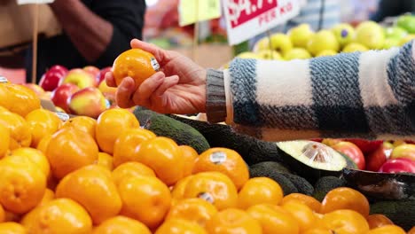 hand picking fruit at queen victoria market