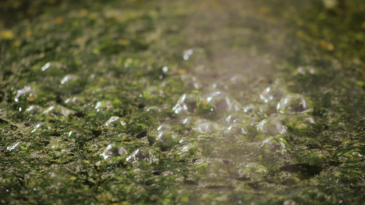 Egyptian Molokhya with bubbles and smoke is coming out freshly made and shot on 4K