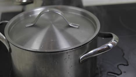 agua hirviendo en la sartén que está cubierta con una tapa en la cocina
