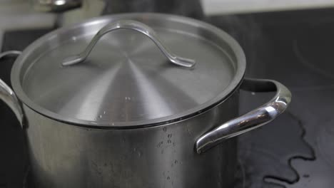 boiling water in the pan that is covered with a lid in the kitchen