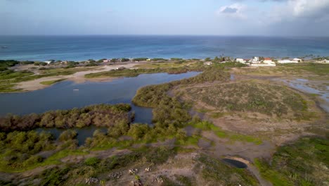 Häuser-Entlang-Der-Küste-Von-Aruba