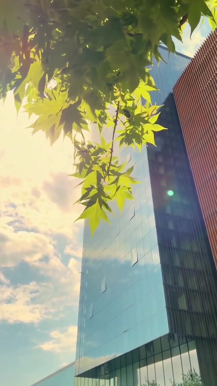 Arranha-céu moderno de vidro visto através de folhas de árvores verdes