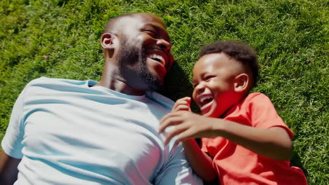 joyful father and son laughing on the grass